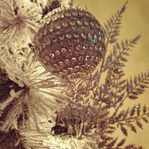 Meet your Posher, Lynne